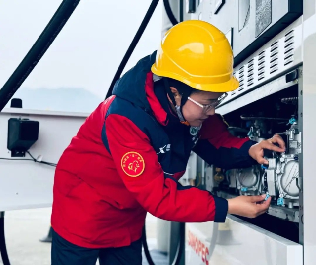 1734002743174868.jpg 27.jpg