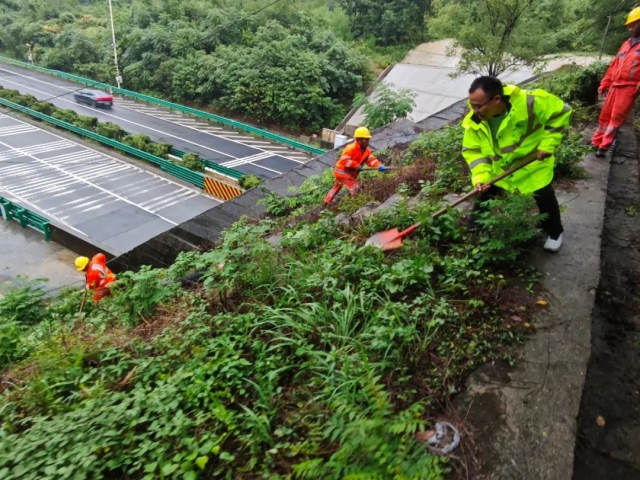 1754962227373299.jpg 01.jpg